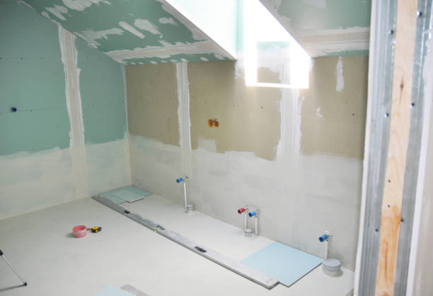 Best Mold-Related Health Consultation  in Bellerose, NY