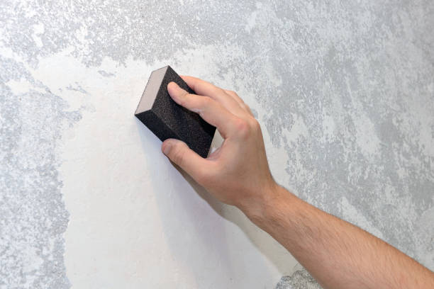 Best Asbestos and Lead Testing During Mold Inspection  in Bellerose, NY