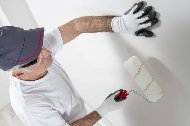 Best Mold Documentation for Insurance Claims  in Bellerose, NY