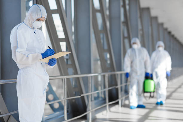 Best Mold Odor Removal Services  in Bellerose, NY