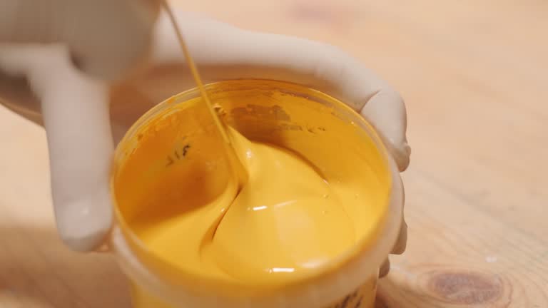 Reliable Bellerose, NY Mold Removal Solutions