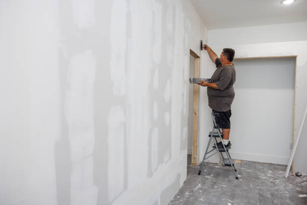 Best Mold Prevention Services  in Bellerose, NY
