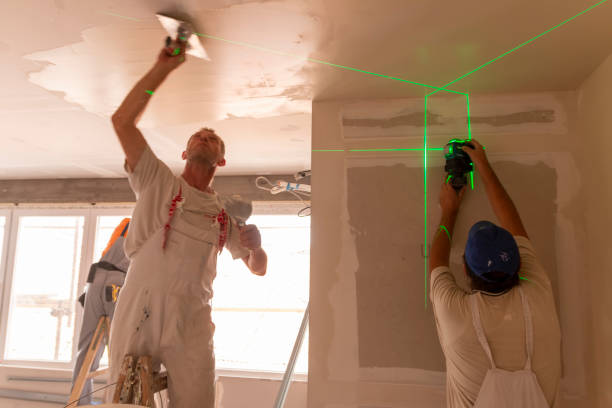 Best Real Estate Mold Inspection  in Bellerose, NY