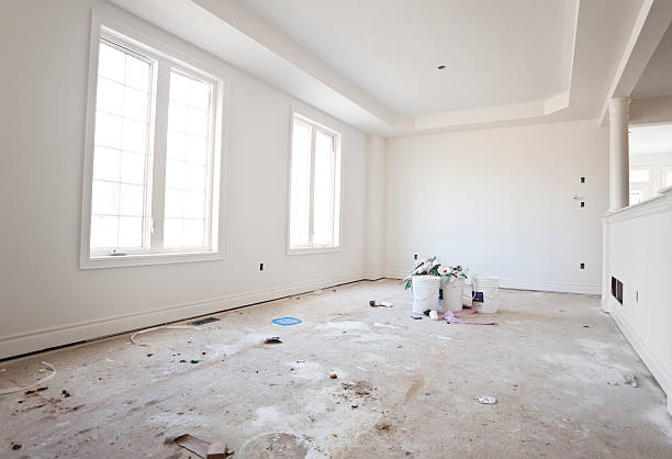 Best Biohazard Mold Removal  in Bellerose, NY