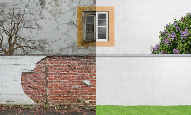 Best Mold Damage Restoration  in Bellerose, NY