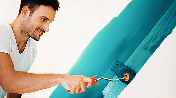 Dehumidification Services in Bellerose, NY